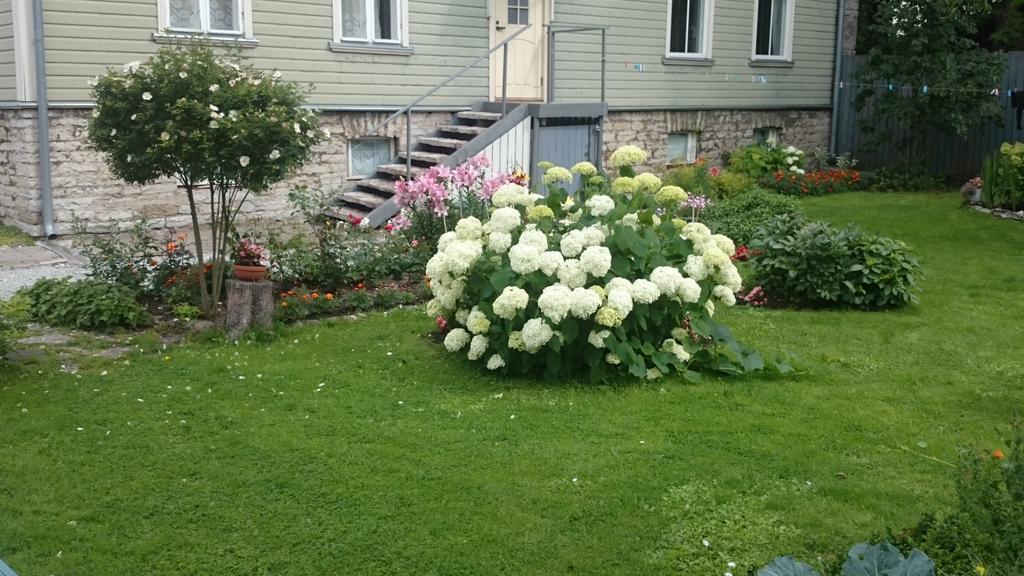 Matrix Garden Apartments Tallinn Szoba fotó
